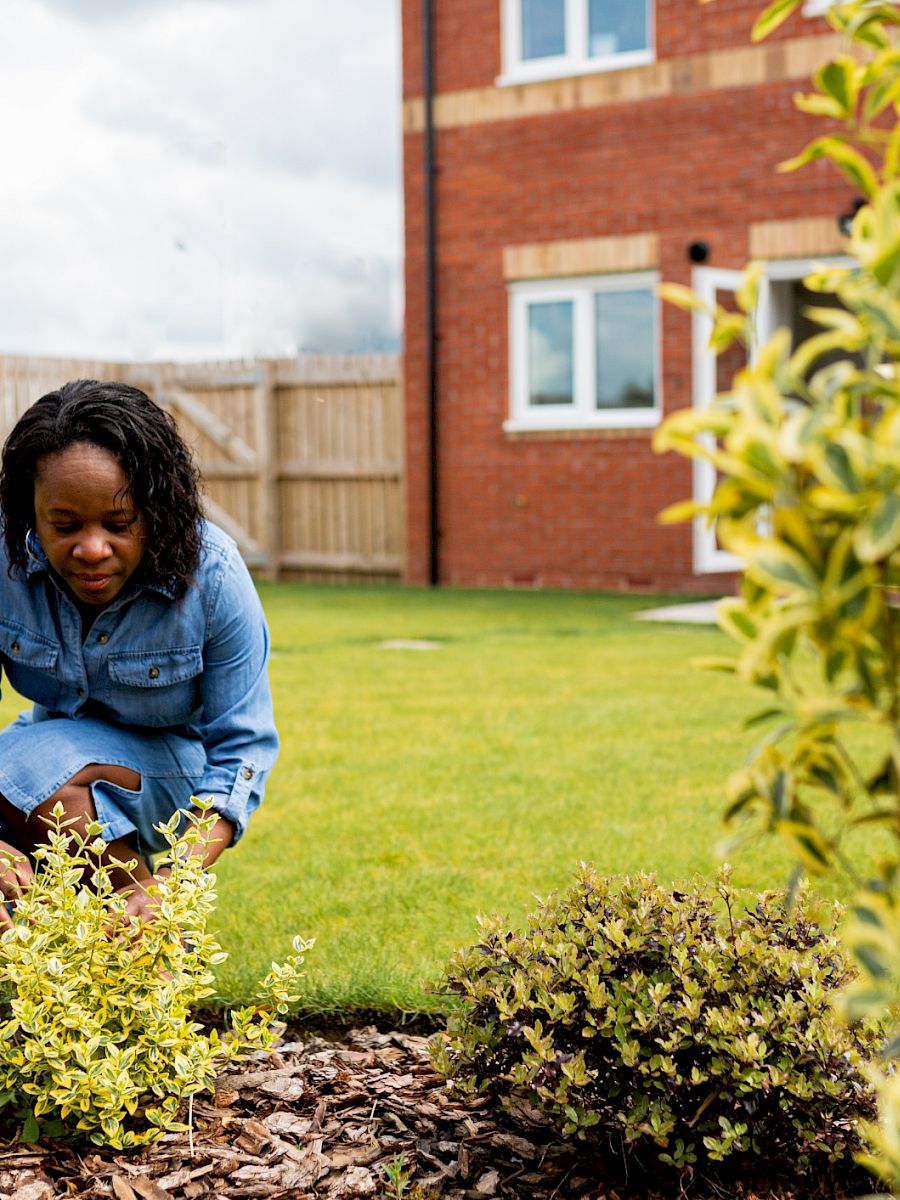 Gleeson Homes Garden