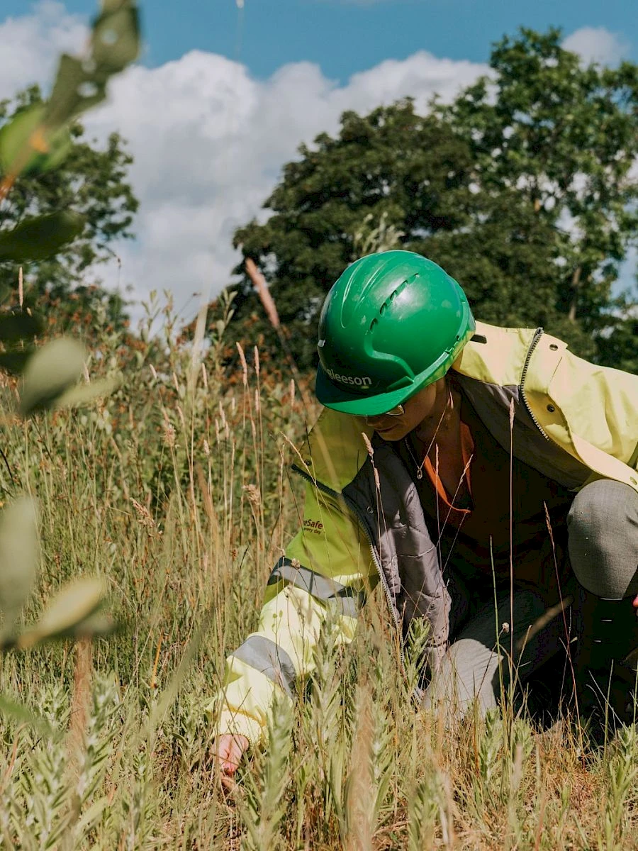 Woman in Gleeson hard hat observing wild flowers on development